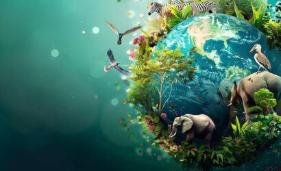 68302d415ce2a51ed8857350_image-is-beautiful-inspiring-photo-earth-image-is-full-life_1187703-17432_converted