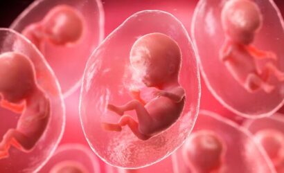 68f733b2fcdccfd4218c3467_cloning--conceptual-illustration-104441193-16x9_0_converted