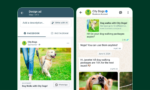 6662d7e74683a254c987f643_AI-for-Businesses-WhatsApp-feat
