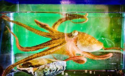 667d58520946c3623968c912_Untitled-design-21-2
