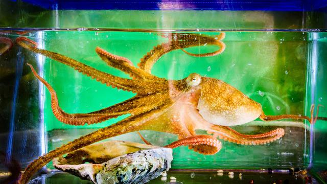 667d58520946c3623968c912_Untitled-design-21-2