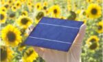 667e97c43703f1396d2bd31a_perovskite-solar-cells-2