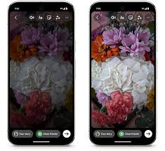 670f8e48fad2b4c413e126b1_images-2