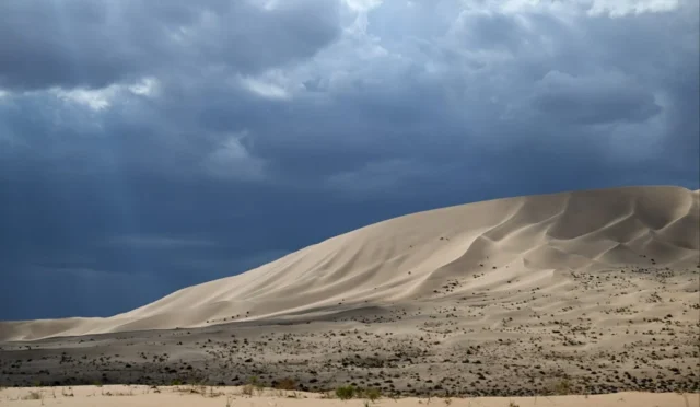 67498924831cb99ea2dbc2e4_68bba883-17dd-43a0-849a-157a72505ec0_182e697a