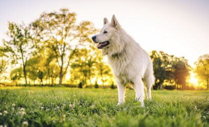 6773d0bd2622225f578d4a40_gettyimages-1317511160