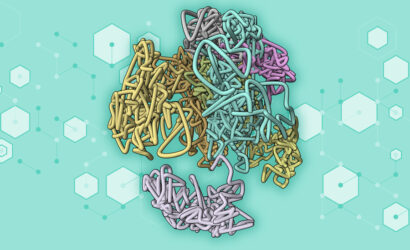 67a1e0fcacc285eb62bcdba7_MIT-AI-Genome-01-press_0
