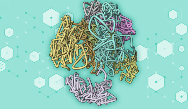 67a1e0fcacc285eb62bcdba7_MIT-AI-Genome-01-press_0