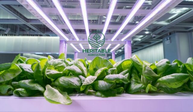 67a1e517d74401a6c405263d_image_870x_679f9db4e61d3