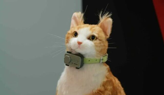 67c962c3654bb3242a4faa10_202503042125-main.cropped_1741098329