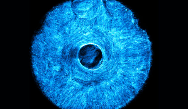 67dab43ce4972f6cc031c7dc_67d9b1ff71cc65afd19baa98_MIT-MuscleStamp-01-press