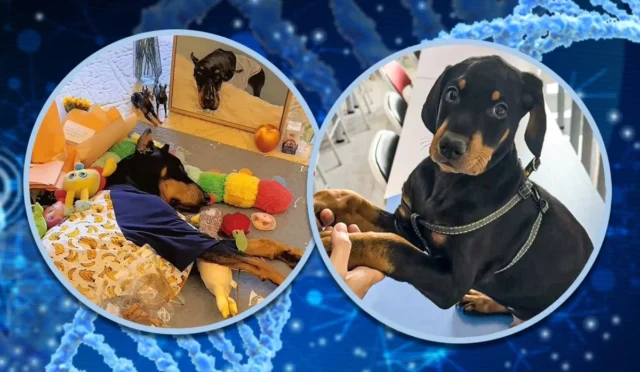 67dd5a1b1d68da2f66c6d8da_a20c5e4e-38de-419a-9baf-3b8a37df0929_dfb3299f