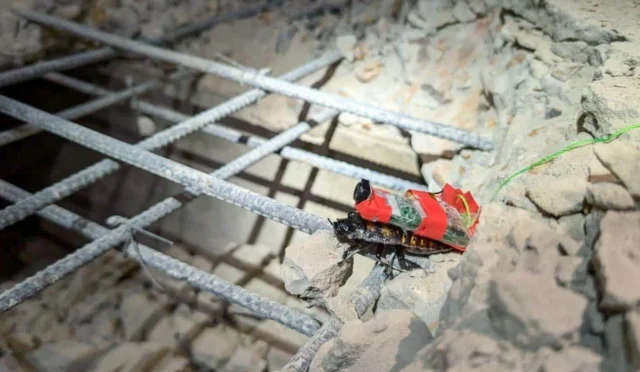 67f67059dd2f05ed110855ea_c04c0e68-39b1-4e47-beb1-40824894c014_ccdf0aaa