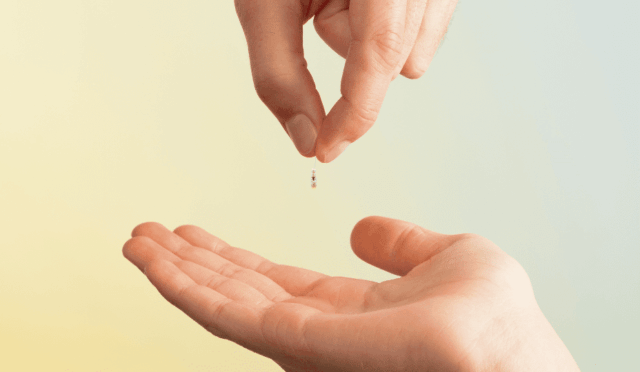 680b50c893c0b9bea22b23d4_Robeaute