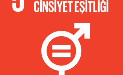 6822fc4e8989c809ee8d6d1e_d78263a3-e394-4669-b90f-a8c0585a718e