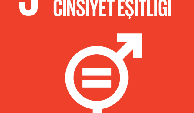 6822fc4e8989c809ee8d6d1e_d78263a3-e394-4669-b90f-a8c0585a718e