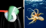 682ef216cb1721645b130e88_octopus-robot