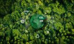 representing eco-friendly transport A leafy green plant with a C