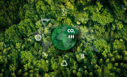 representing eco-friendly transport A leafy green plant with a C