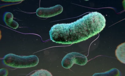 6852a7761db59fdf2f71c38e_illustration-escherichia-coli-bacteria-e-990560757