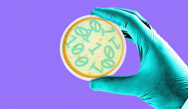 685a502753b40f35f126743d_1750205175108