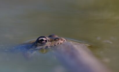 68664edf070b3ba76653aae9_wolfgang-hasselmann-1YWnZYP1aJk-unsplash