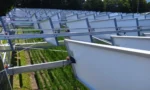 689359043b4b1cf5e307ef47_Thumbnails-for-IE-articles-Rice-grow-under-solar-panels