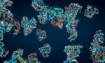 6899ac3c7e785817aa70f3dd_GettyImages_1402266486_proteins