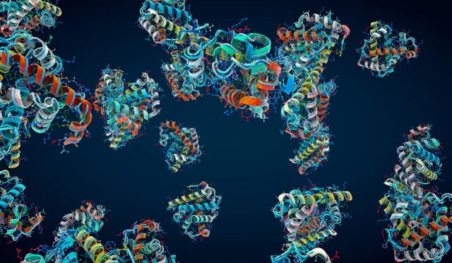 6899ac3c7e785817aa70f3dd_GettyImages_1402266486_proteins