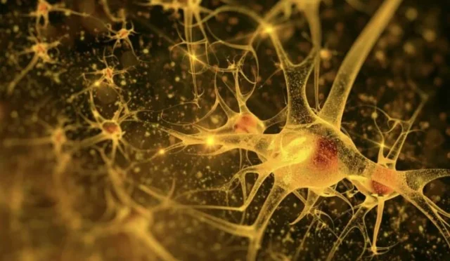 68a2e8c4683adbd857c49d81_file_1882-736x470