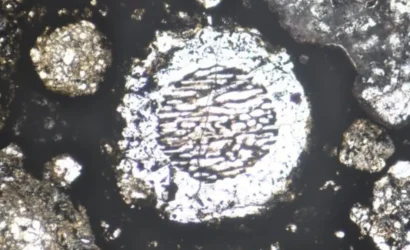 68ac29ba4aba3acbc4378c16_IE-28