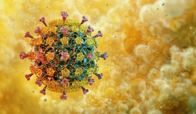 68b819b6ac5af29df6100c37_ImageForNews_7482_17561797722528945