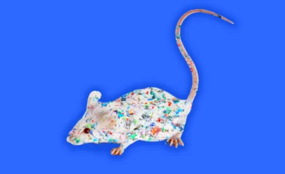 68be862a89cac2bb93820e57_lab-mice-microplastics-dementia