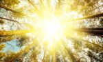 68c29090182d5026890b65d4_shutterstock_383758873.2e16d0ba.fill-1600x810-c100