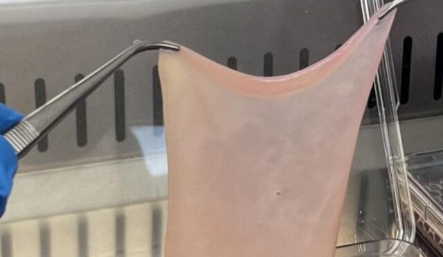 68c2ba4aff06a2bfca34347f_b858cb37ea6f452545b7cd263e1d3243-820x394