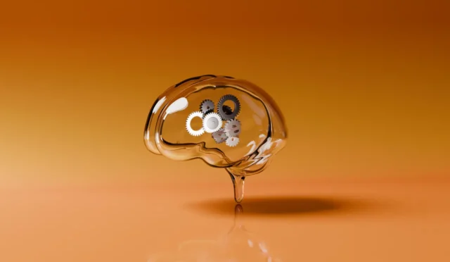 68c3da83773d1556903f79ba_gettyimages-2152399062