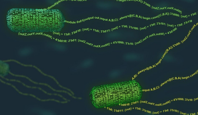 68caa1e22c5043080c6a872d_MIT-Program-Bacteria_0