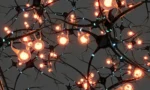 68e373c4e74b7b9c68ff5198_Untitled-design-14