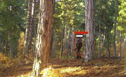 68e76527c402e3e954456ec9_1400x788yapay-zeka-destekli-fotokapanlar-ormanlarimizi-koruyor