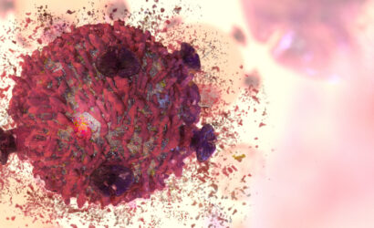 cancer cure treatment T-cell lymphocyte killing tumors