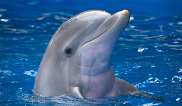 68f72b8b9d13fb2cbcc6deb3_c688fbc7bda195419796d71715984155