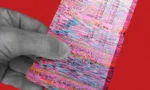 69031477668cda0eb1e19275_ai-fake-receipts-inc_4e595d