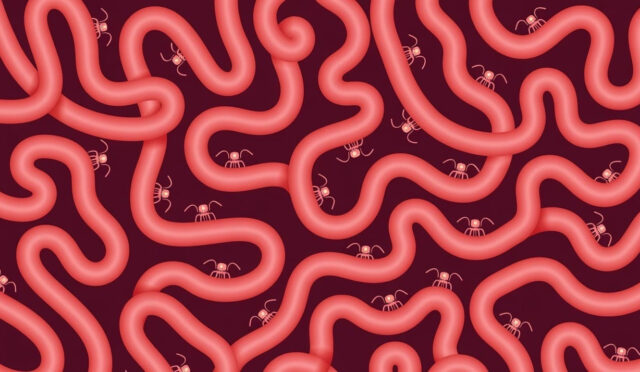 6909bfd4d66ee3ba0d0b645b_unnamed