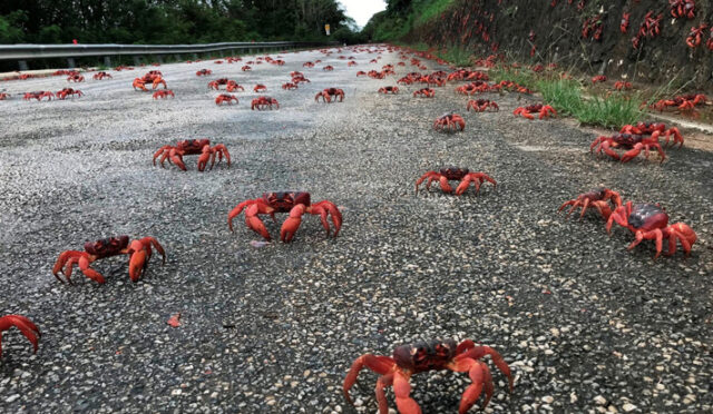 6911a0d3e2b3f50d860658dc_rei-16