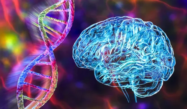 691ed68abd9dfc1772569c12_c0008e4b9e1f658ff8c85d88367ad162