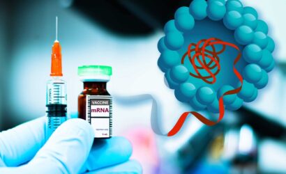 691ee362ca23ef48bdffb9f3_MIT-Strong-Vaccine-01-press_0