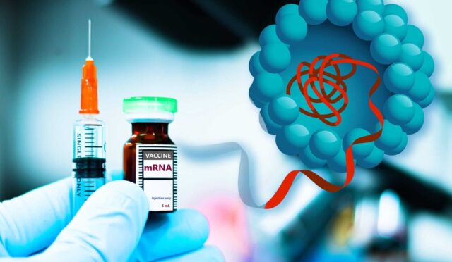 691ee362ca23ef48bdffb9f3_MIT-Strong-Vaccine-01-press_0