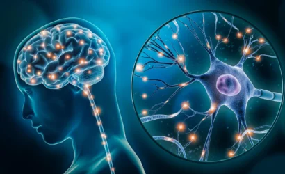 6925599b4517231322f02bc5_human-brain-activity-neuron-close-up