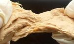 6925609e60bc799d5baf6a7c_Fusarium-venenatum