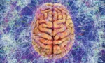 6926f1537c1508d5fdaeb975_brain21