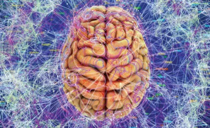 6926f1537c1508d5fdaeb975_brain21